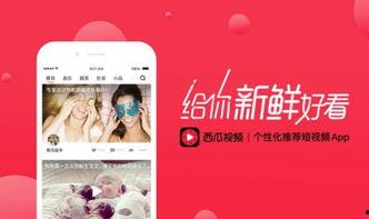头条怎么样更换名字视频,头条如何快速更换昵称，打造个性化账号