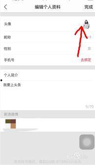头条账号重置怎么办理,轻松办理，恢复您的账号使用权