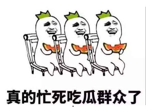 吃瓜群众集合大全,揭秘网络围观背后的社会现象