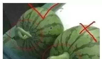 qq吃瓜群危险吗,风险与机遇并存