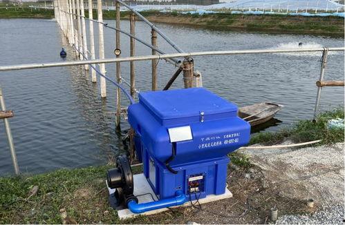 白对虾投料机看料,精准投喂，助力高效养殖