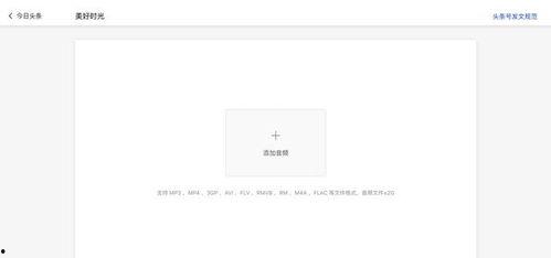 手机今日头条音频开通,畅享便捷听音新体验