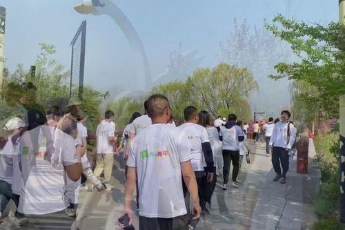 高青新闻头条,聚焦乡村振兴战略，共绘美丽乡村新画卷