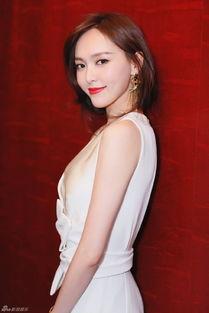 陈力爆料欧阳奋强视频全集,揭秘娱乐圈背后的真相