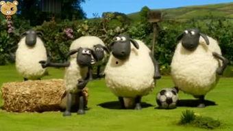 是谁爆料小羊的视频播放,神秘爆料者揭露小羊视频播放之谜