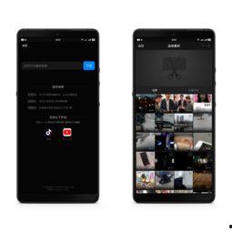 网红养成记视频剪辑教程,视频剪辑教程全解析