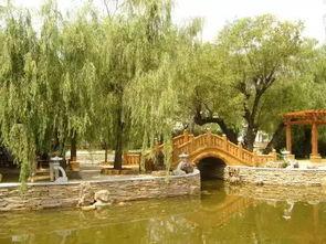 沈阳公园头条号多少