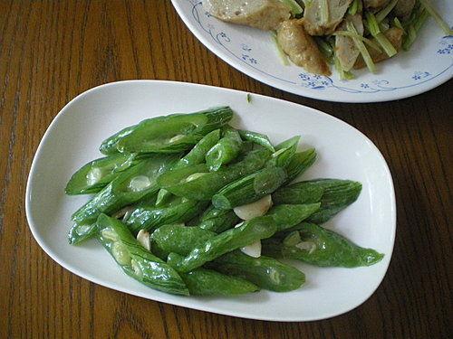 瓜蛇怎么吃,探索独特风味与烹饪技巧