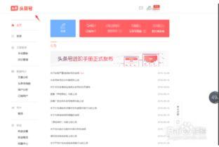 头条账号能改吗,如何打造爆款内容，吸引百万粉丝