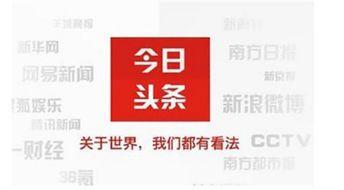 如何选择头条号标签类型,如何精准定位你的内容类型