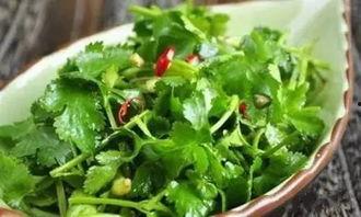 香菜榨汁泡脚的头条,揭秘古老秘方在现代的神奇功效