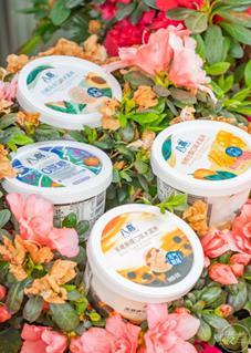 吃瓜直播夜宵,揭秘网红美食背后的故事