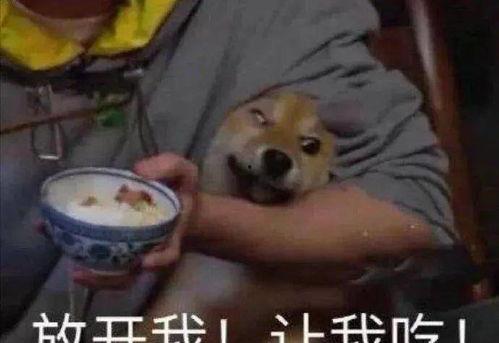 带你吃瓜大魔头,带你吃瓜大魔头的神秘世界