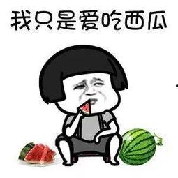 娱乐圈吃瓜的梗有哪些名字,盘点那些令人捧腹的吃瓜名梗